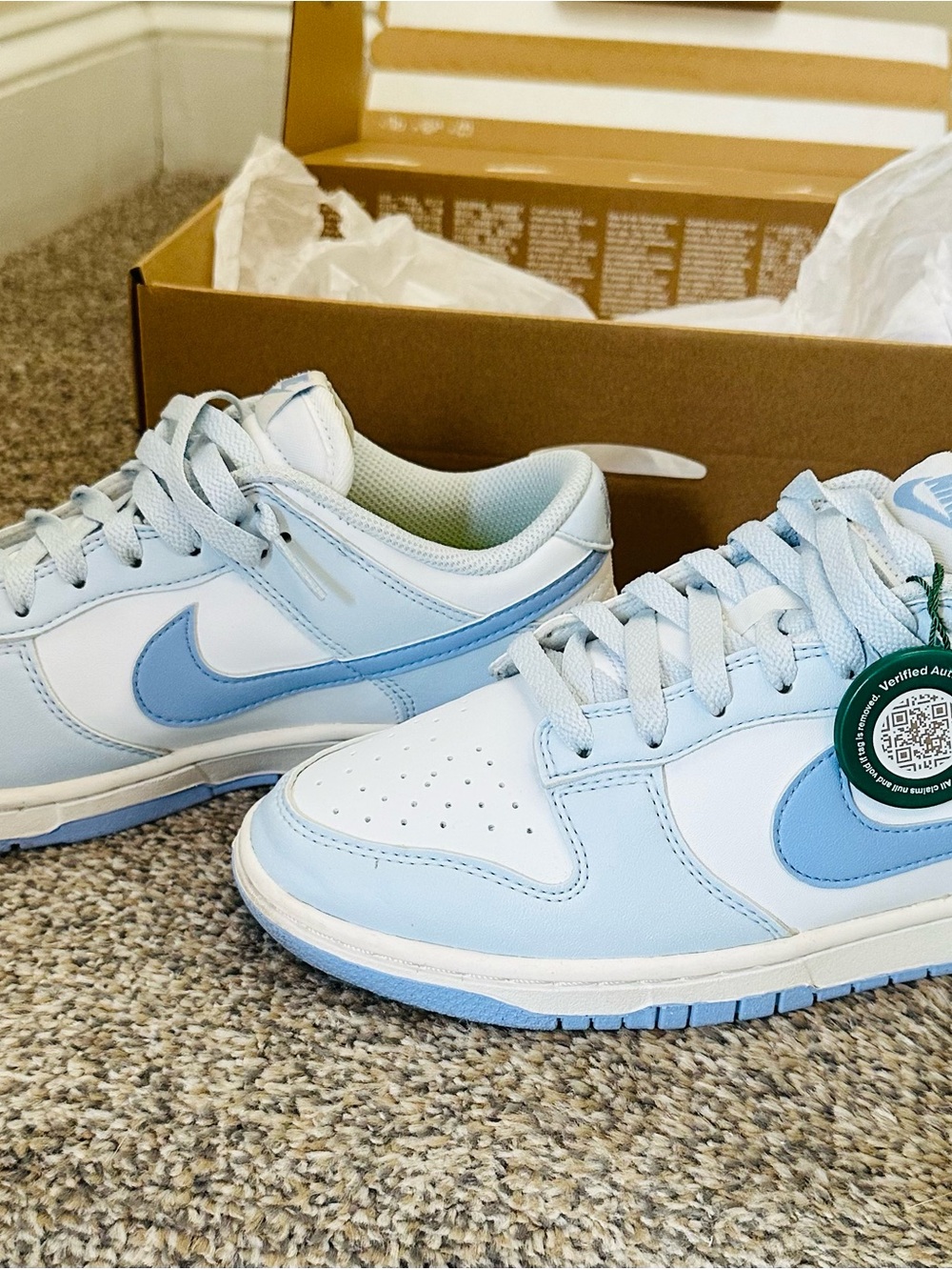 Women’s  NIKE DUNK LOW NEXT NATURE